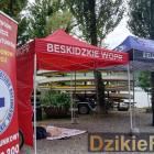 zdjęcie nr 175