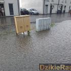 zdjęcie nr 9