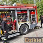 zdjęcie nr 17