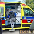 zdjęcie nr 7