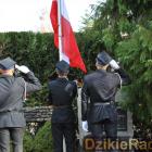 zdjęcie nr 163