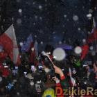 Fotka nr 3 z 34