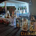 zdjęcie nr 98
