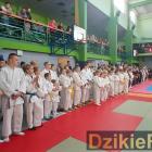 zdjęcie nr 95