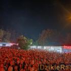 zdjęcie nr 263