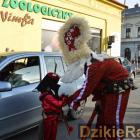 zdjęcie nr 133