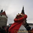 zdjęcie nr 133