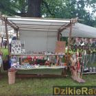 zdjęcie nr 42