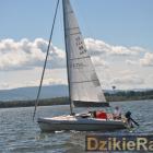 zdjęcie nr 237