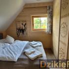 Fotka nr 2 z 12