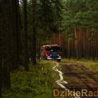 zdjęcie nr 13