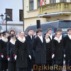 zdjęcie nr 35