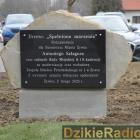 zdjęcie nr 42