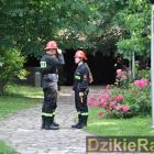 Fotka nr 0 z 183
