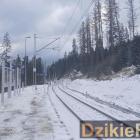 Fotka nr 0 z 4