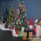 zdjęcie nr 123