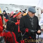 zdjęcie nr 7
