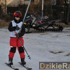 zdjęcie nr 28