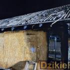 zdjęcie nr 11