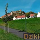 zdjęcie nr 11