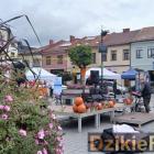 zdjęcie nr 209