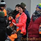 zdjęcie nr 40