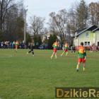 zdjęcie nr 42