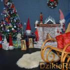 zdjęcie nr 122
