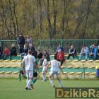 zdjęcie nr 7