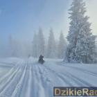 zdjęcie nr 26
