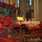 zdjęcie nr 77