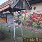 Fot: DzikieRadio®