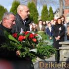 zdjęcie nr 217