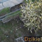 zdjęcie nr 10