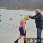 zdjęcie nr 33
