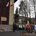 zdjęcie nr 11