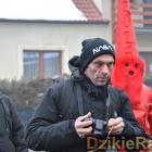 zdjęcie nr 334