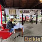 zdjęcie nr 8