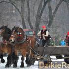 zdjęcie nr 93