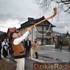 zdjęcie nr 75