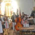 zdjęcie nr 11