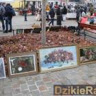 zdjęcie nr 55