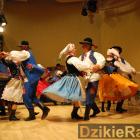zdjęcie nr 46