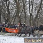 zdjęcie nr 111