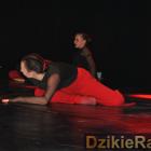 zdjęcie nr 180