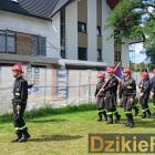 zdjęcie nr 134