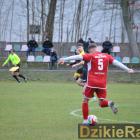 zdjęcie nr 14