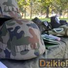zdjęcie nr 103
