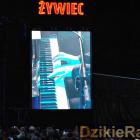 zdjęcie nr 90