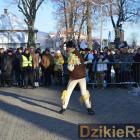 Fotka nr 1 z 113